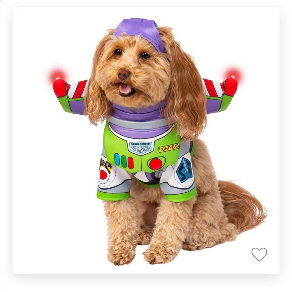 Dog costume